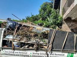 Professional Junk Removal in Mountain View Acres, CA